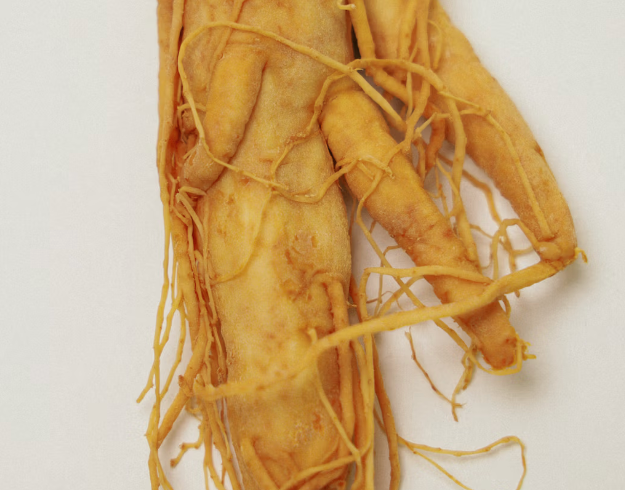 Ginseng HPR Retinoid + Bakuchiol Face Oil